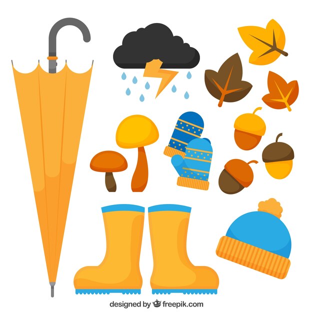 Ropa y hojas de otoño