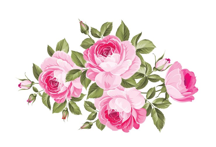 Ropa de rosas aisladas en blanco