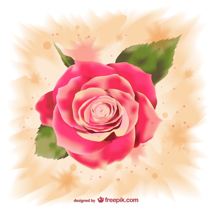 Vector gratuito rosa de acuarela