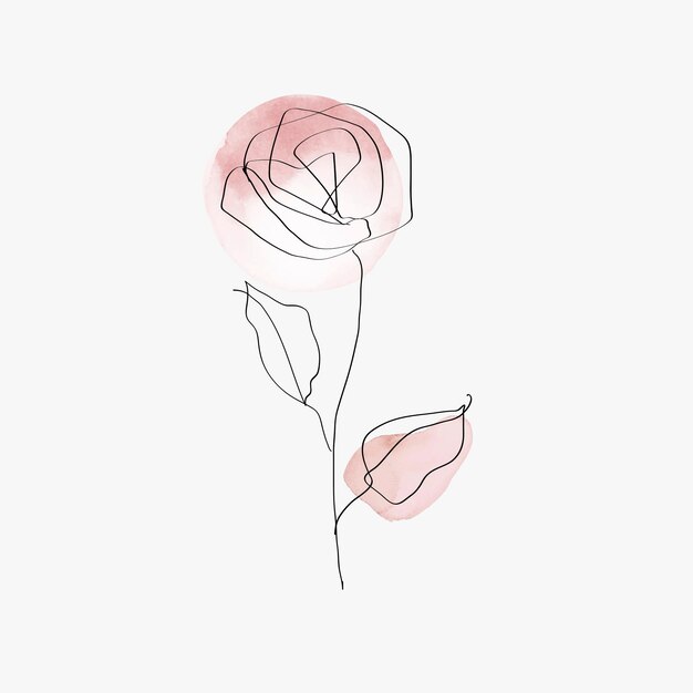 Rosa flor vector línea arte mínimo rosa pastel ilustración