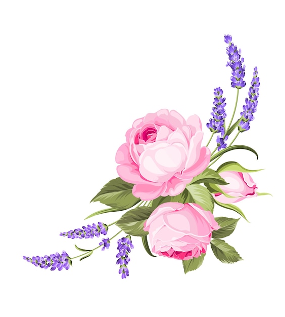 Vector gratuito rosa floreciente sobre el fondo blanco.