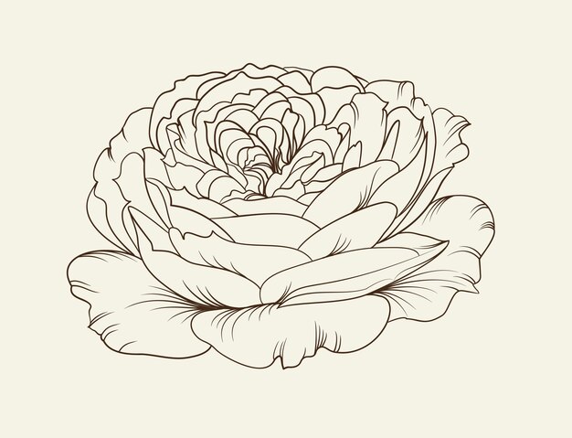 Rosa de flores en blanco y negro.