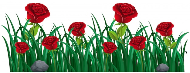 Rosas rojas en el monte
