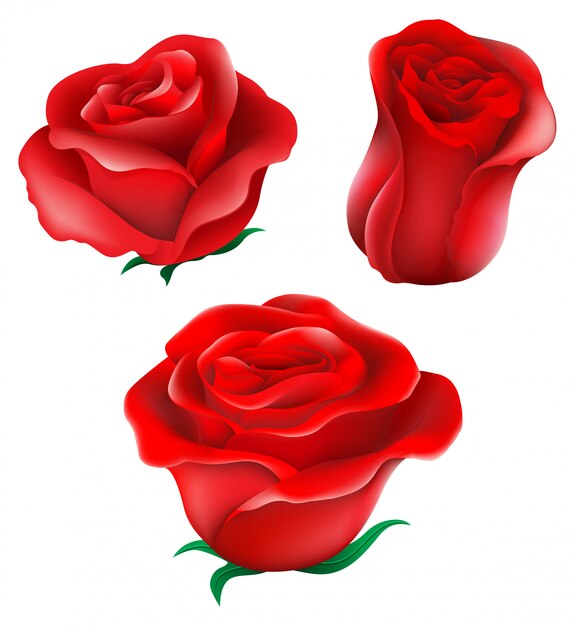 Las rosas rojas