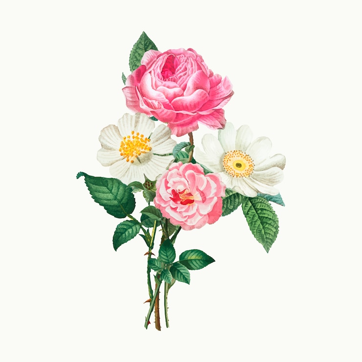 Vector gratuito rosas rosadas y blancas