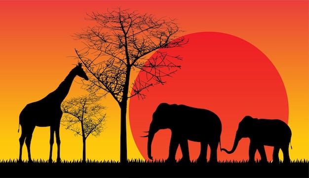 Safari fauna áfrica puesta de sol animales vector aislado