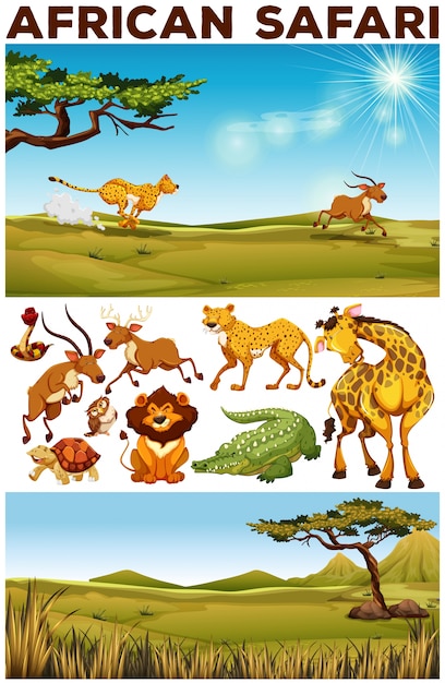 Safari tema con animales salvajes en el campo de ilustración
