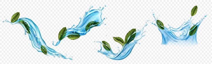 Vector gratuito salpicaduras de agua con mentol o hojas de menta.