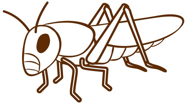 Saltamontes en estilo simple de garabato sobre fondo blanco