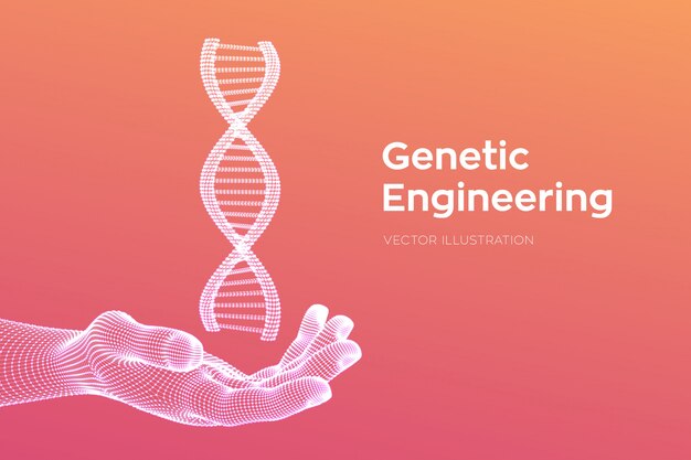 Secuencia de ADN en la mano. Malla de estructura de moléculas de código de ADN de estructura metálica.