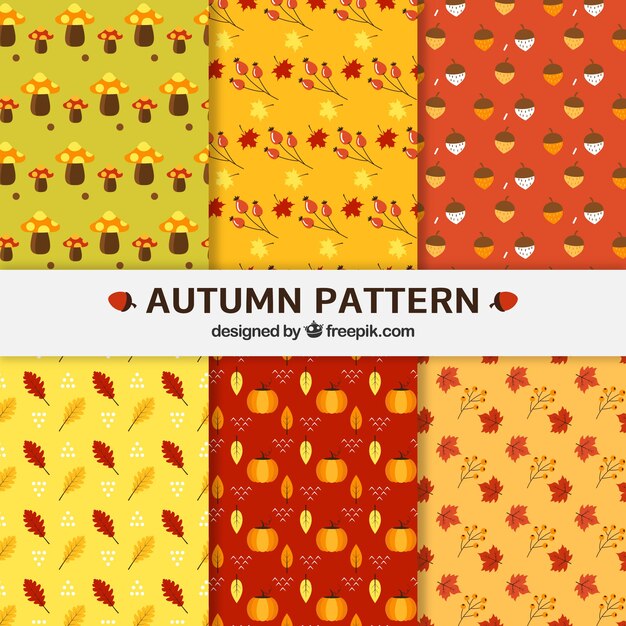 Seis lindos patrones con hojas de otoño