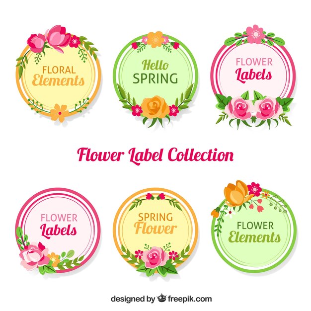 Seis pegatinas con flores en estilo retro