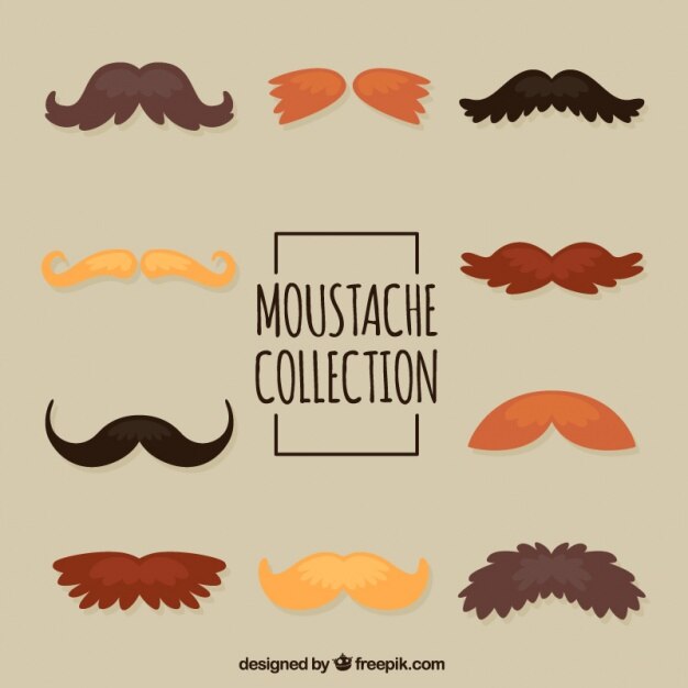 Selección de bigotes estilosos 