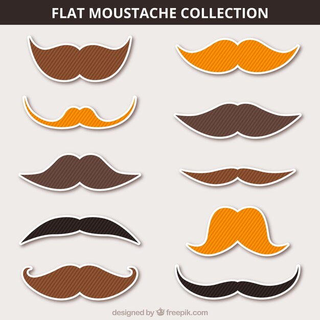 Selección de los bigotes con rayas