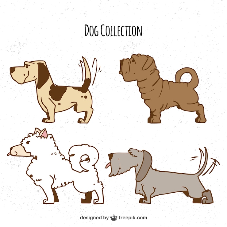 Vector gratuito selección dibujada a mano de cuatro perros de perfil