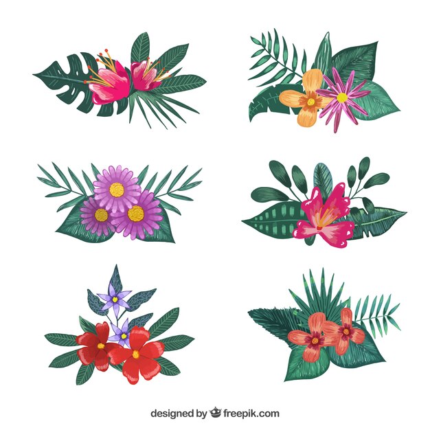 Selección de flores pintadas con acuarelas 