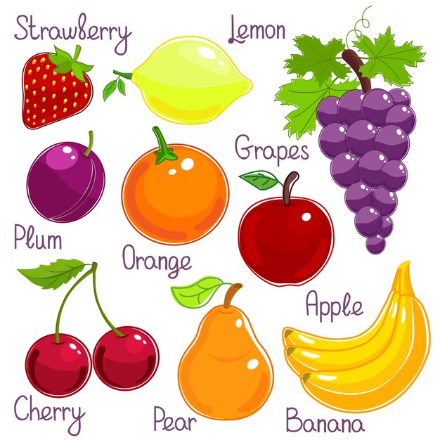 Selección de frutas tropicales frescas enteras de colores con etiquetas