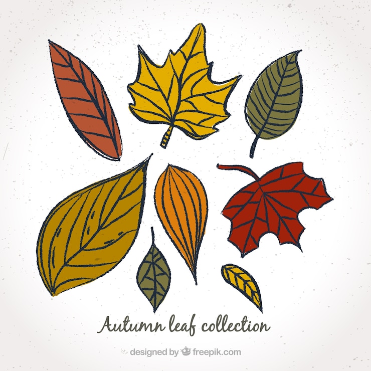 Vector gratuito selección de hojas en diferentes colores