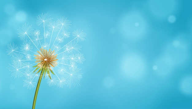Semillas de té de diente de león flor fondo azul