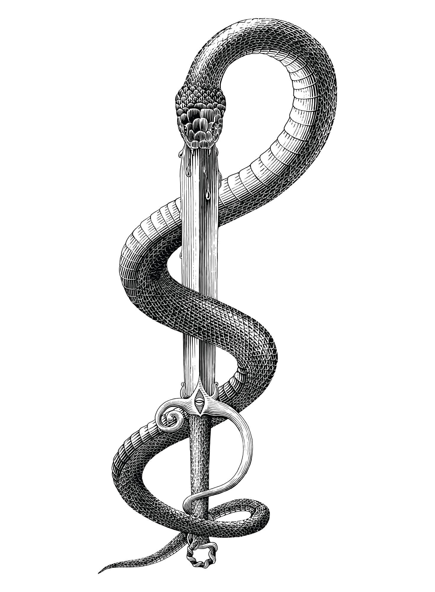 Serpiente en blanco y negro clavada en la espada en estilo grabado | Vector  Gratis