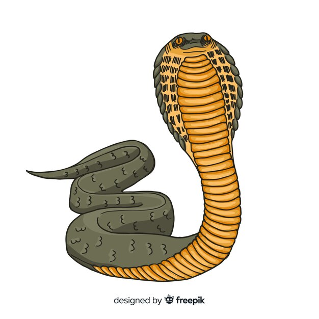 Serpiente realista dibujada a mano