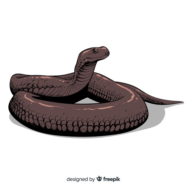 Serpiente realista dibujada a mano