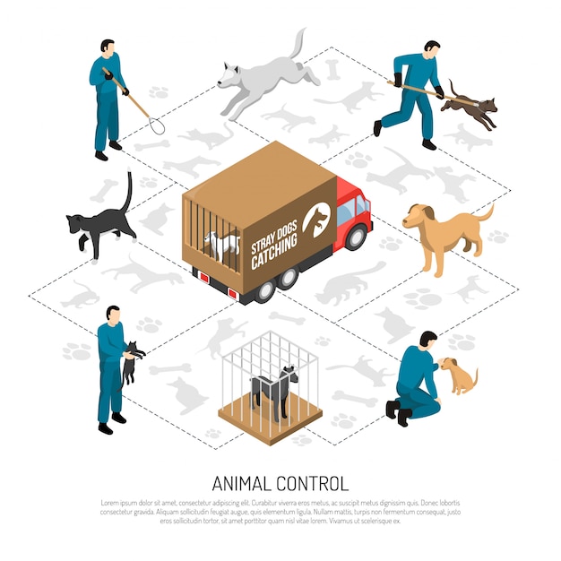 Vector gratuito servicio de control animal isométrico