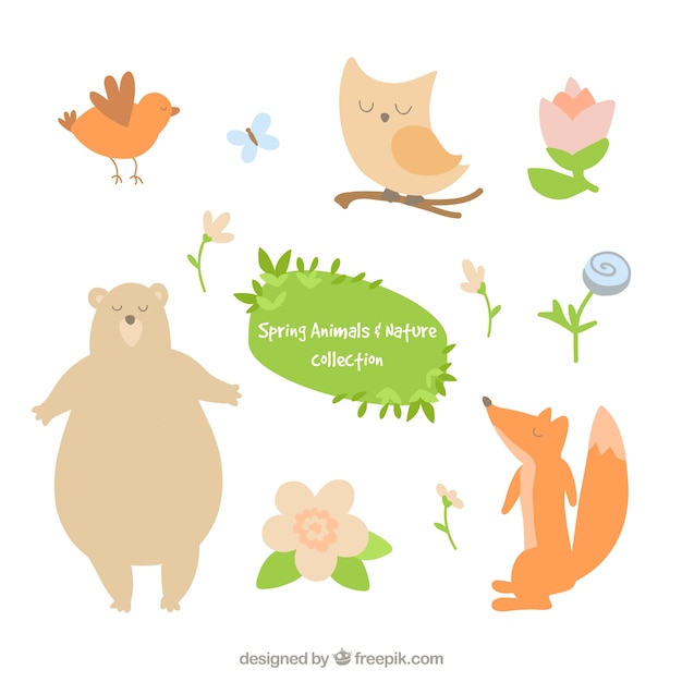 Vector gratuito set de animales adorables y flores