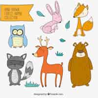 Vector gratuito set de animales del bosque alegres dibujados a mano
