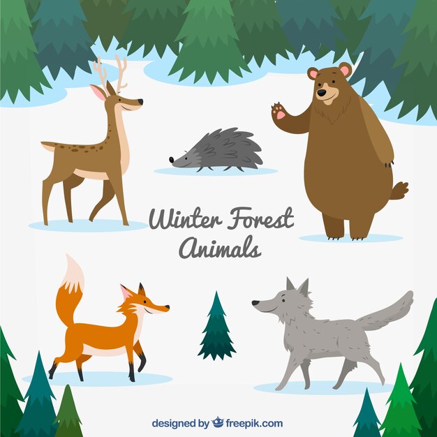 Set de animales del bosque dibujados a mano 