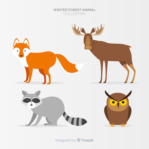 Set de animales del bosque en invierno