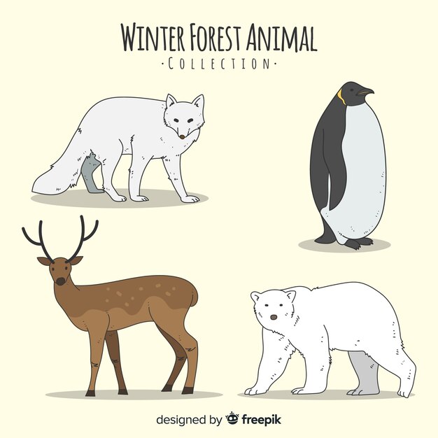 Set de animales del bosque en invierno