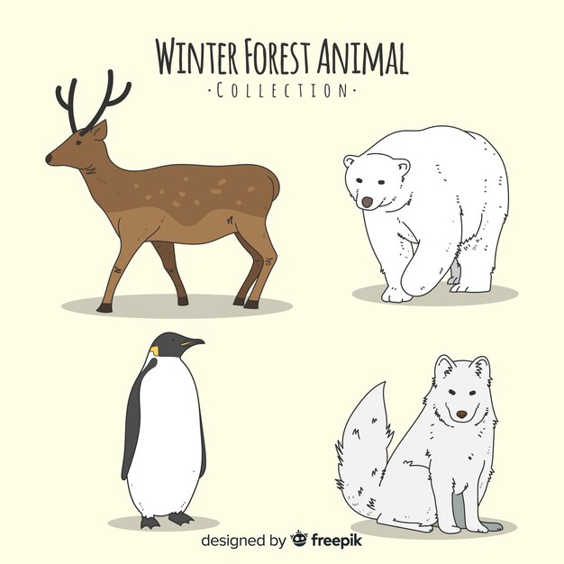 Set de animales del bosque en invierno