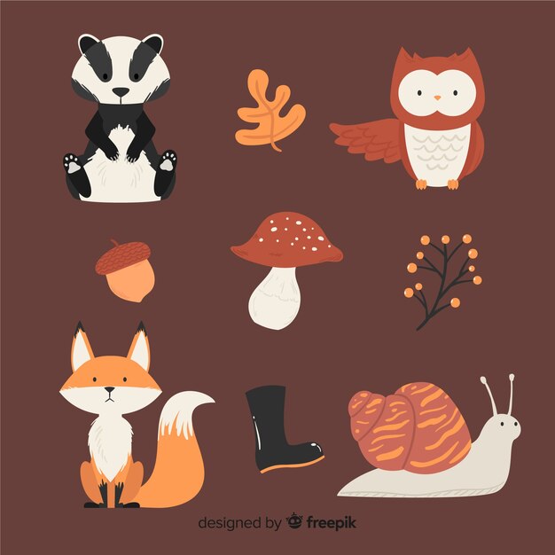 Set de animales de bosque otoñal dibujados
