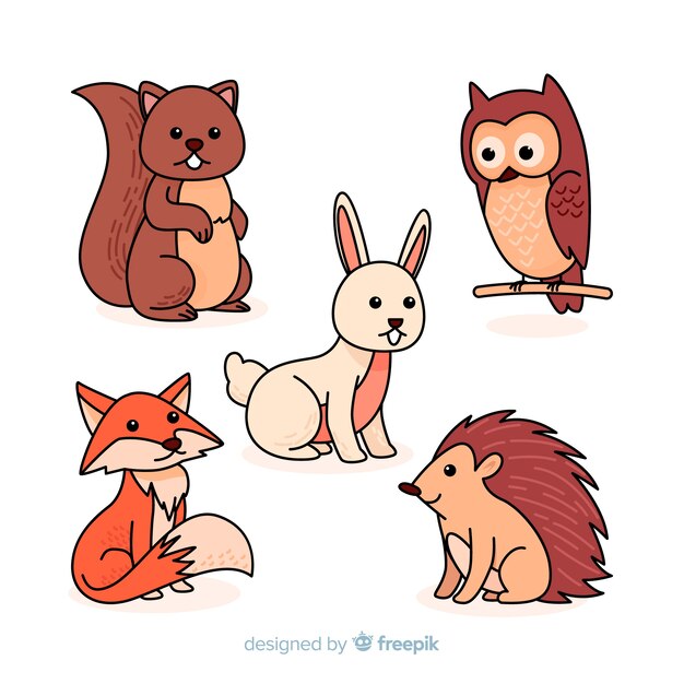 Set de animales de bosque otoñal dibujados