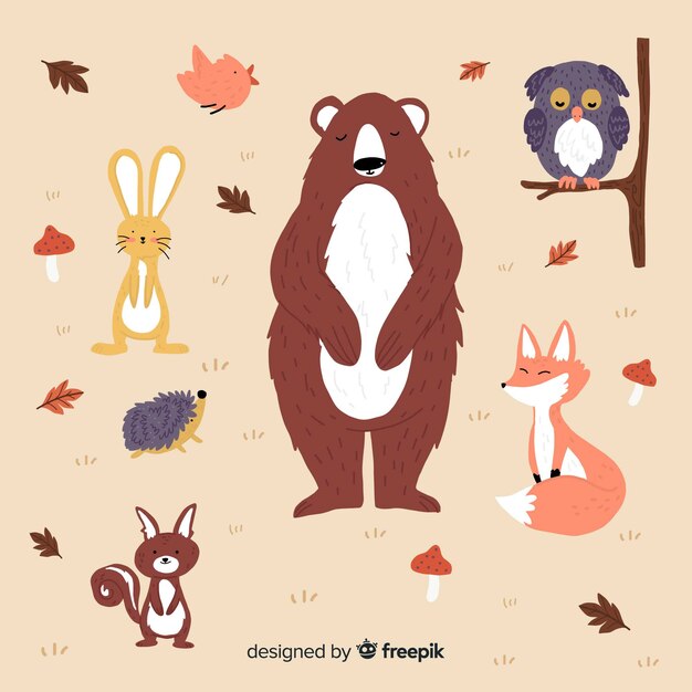 Set de animales del bosque otoñal dibujados