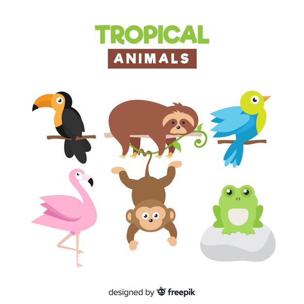 Set de animales exóticos