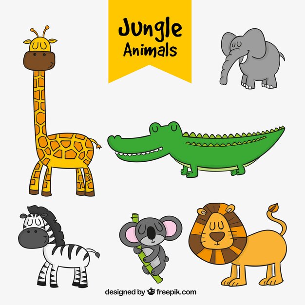 Set de animales de la jungla dibujados a mano 