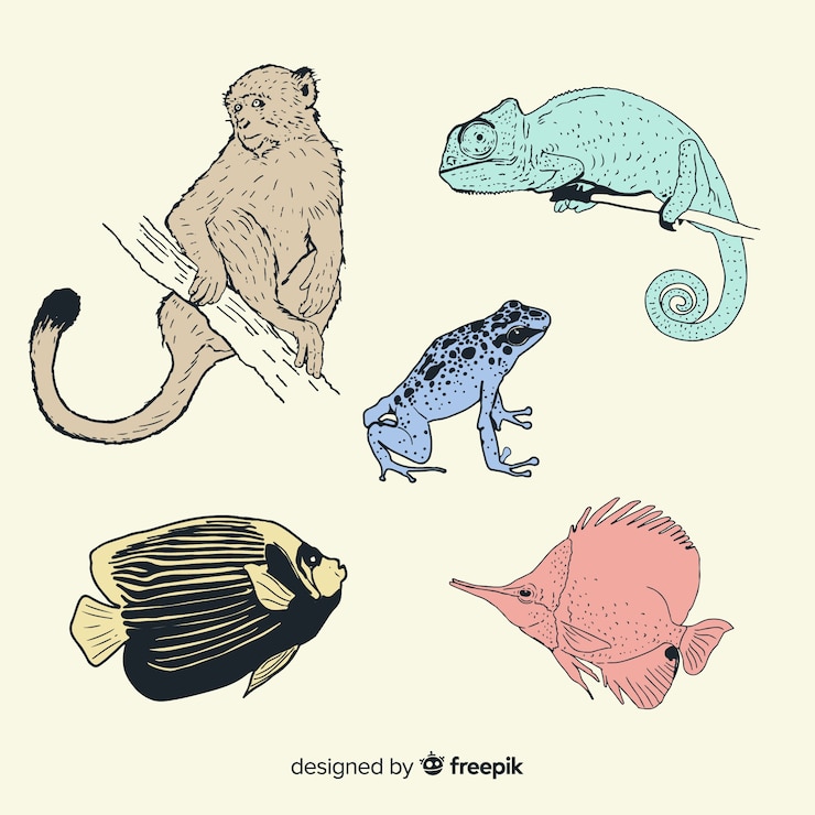 Vector gratuito set de animales tropicales dibujados a mano