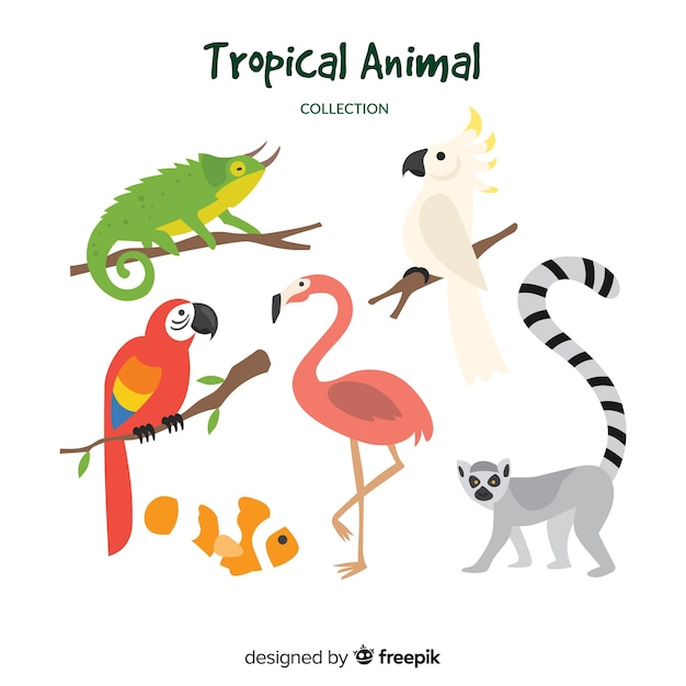 Set de animales tropicales dibujados a mano