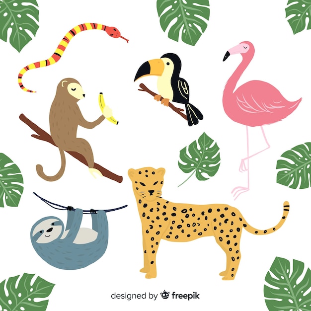 Vector gratuito set de animales tropicales dibujados a mano