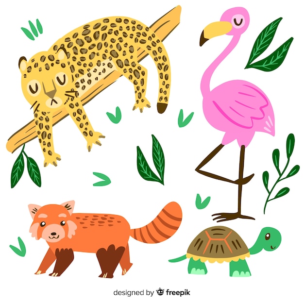 Vector gratuito set de animales tropicales dibujados a mano