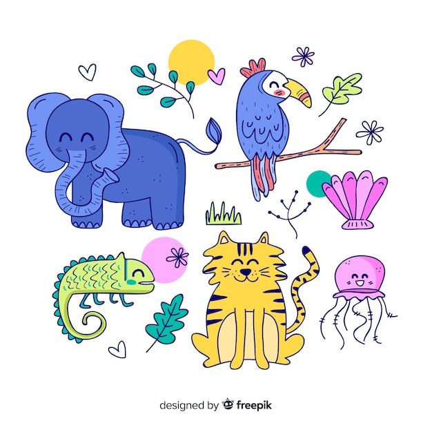 Set de animales tropicales: elefante, tucán, camaleón, tigre, medusa