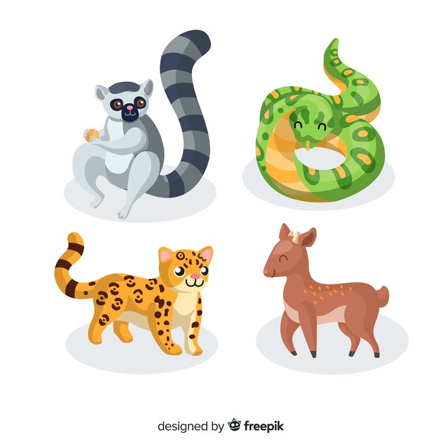 Set de animales tropicales