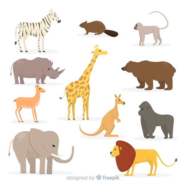 Set de animales tropicales