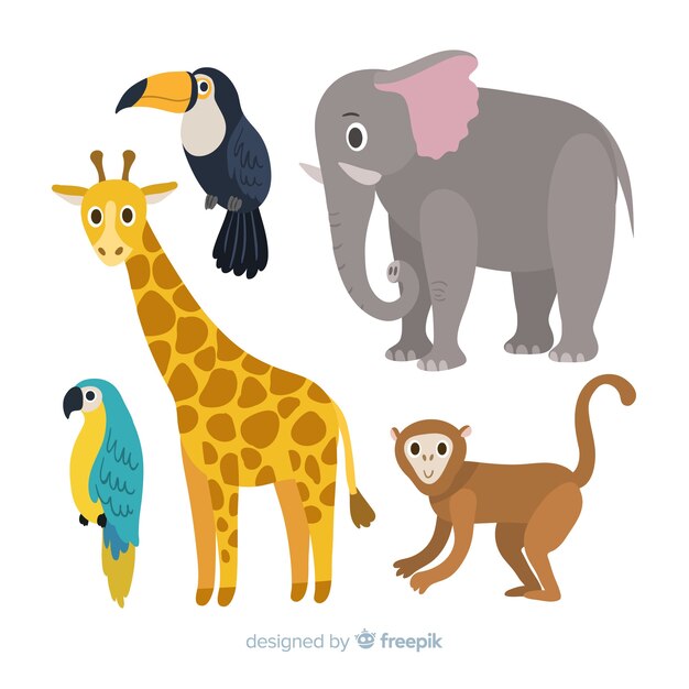 Set de animales tropicales