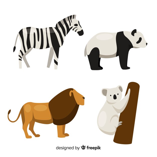 Set de animales tropicales