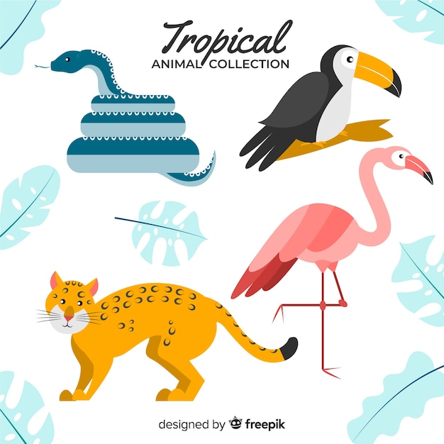 Vector gratuito set de animales tropicales