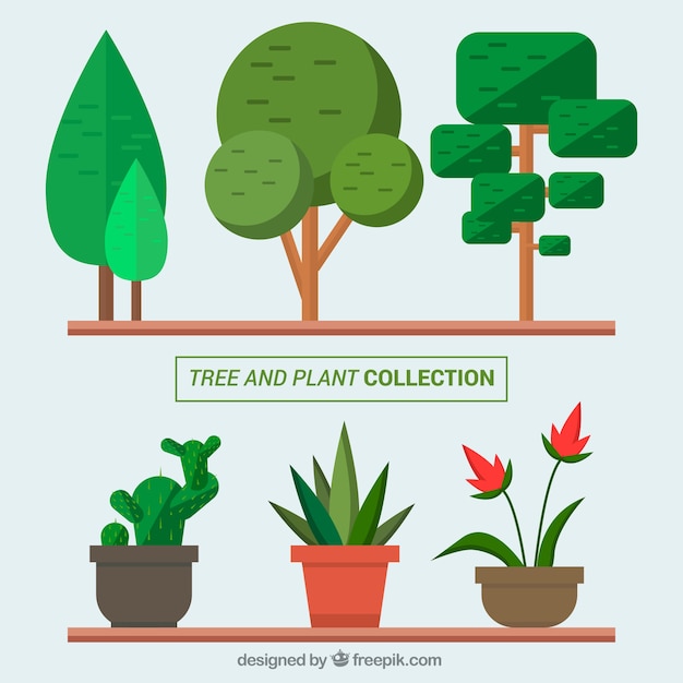 Vector gratuito set de árboles y plantas en diseño plano