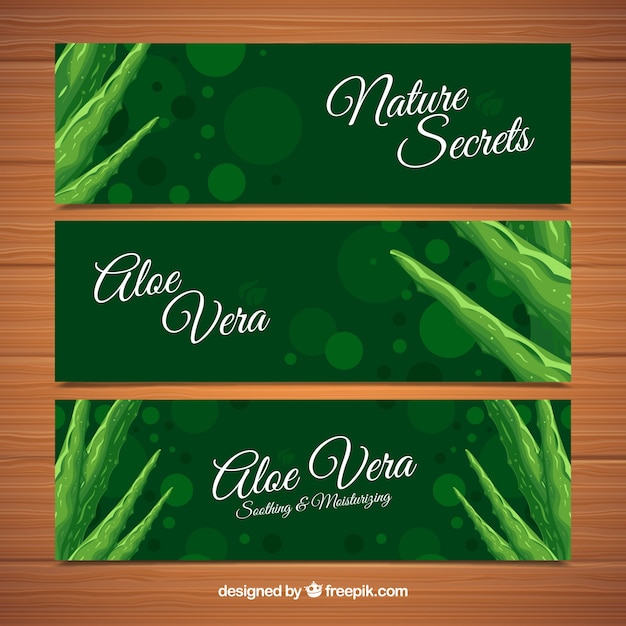 Vector gratuito set de banners bokeh de aloe vera